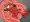 アブソーバ的な触手（先端に吸盤）×アスカ