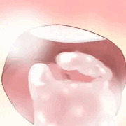 お口いっぱい