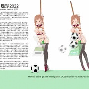 Tortiure Soccer 2022