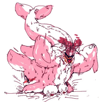 いるかもどき
