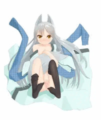 銀髪幼弧