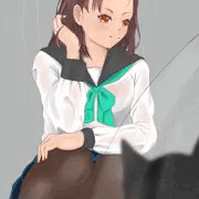 猫目線
