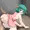 わんこすたいる