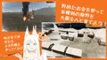 「稲荷狐と交易路～ロリババア狐のために旅するオープンワールド交易RPG～」好評配信中！