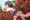 アニメ塗り実験中