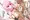 いろはちゃんとイチャラブえっち