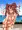 ペルソナ4まとめ