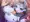 【PR】 クルセイドハート カレン パイズリ　ナターシャ【悪堕ち】