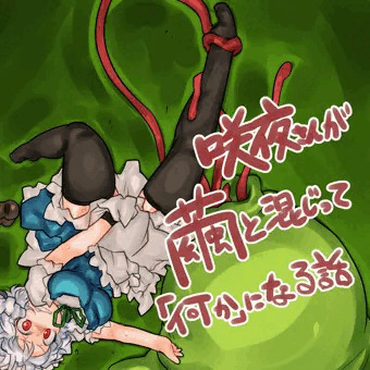 咲夜さんが繭と同化させられちゃう話（18g)