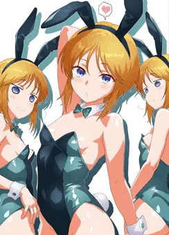 バニープルシリーズ