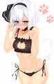 猫ランジェリー妖夢