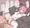 愛花とトレーニング