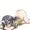 あおおにさん