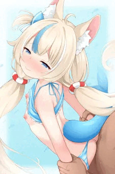 サメコサバ