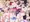 おまたせ！「メスブタライブ! エリのぞ編」の発売が開始しました！