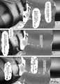 ふたなり家族のパパ治療日誌～ママのターン～