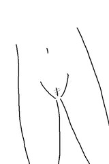 すじ