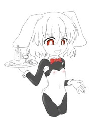 逆バニーてゐ