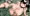 ぽっちゃり冒険者ちゃんと盗賊くん