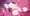 【アニメ】触手に捕まった帰宅中の少女