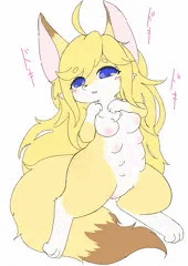 巨乳ロリキツネちゃんに悪戯