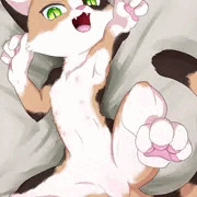 三毛猫けもさん