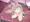 姉ちゃんと一緒にAV鑑賞