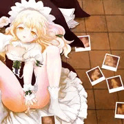 紅楼夢新刊表紙