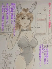 潜入バニーガール捜査官　完結編
