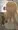 ゼーリエ(アニメ)