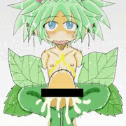 コノハ その３