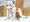 教官の訓練