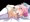 添い寝幽々子様
