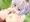 もみフェラ