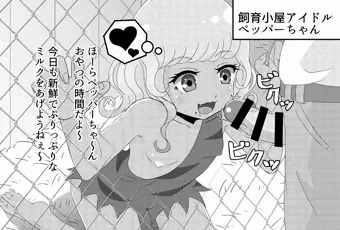 【ｃ91】プリパラコピー誌見本