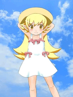 サマードレス忍たん