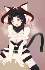 ネコキノ