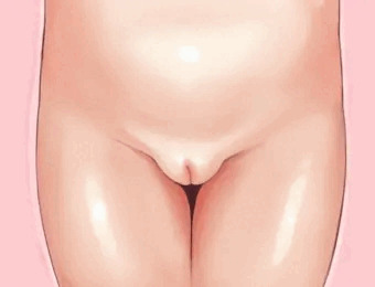 すじ