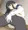斑鳩さん