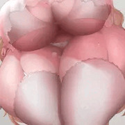 幽李香