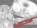 新作サンプル！！