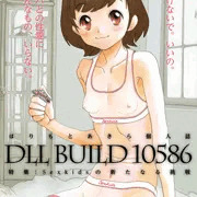 C89 DLL新刊のご案内