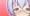 フェラハッセ