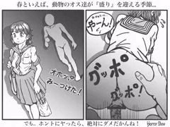 【女性の方もご覧ならば...】