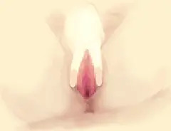 くぱぁ