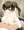 加賀さん