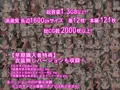 名古屋団地で出会ったロリビッチな少女たち　白昼団地でビッチ2人に精子を一滴残らず搾り取られた件ｗｗｗ