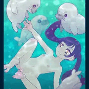 アザラシ