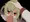 いほうまき