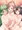 キャラクター大賞